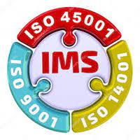 IMS-1